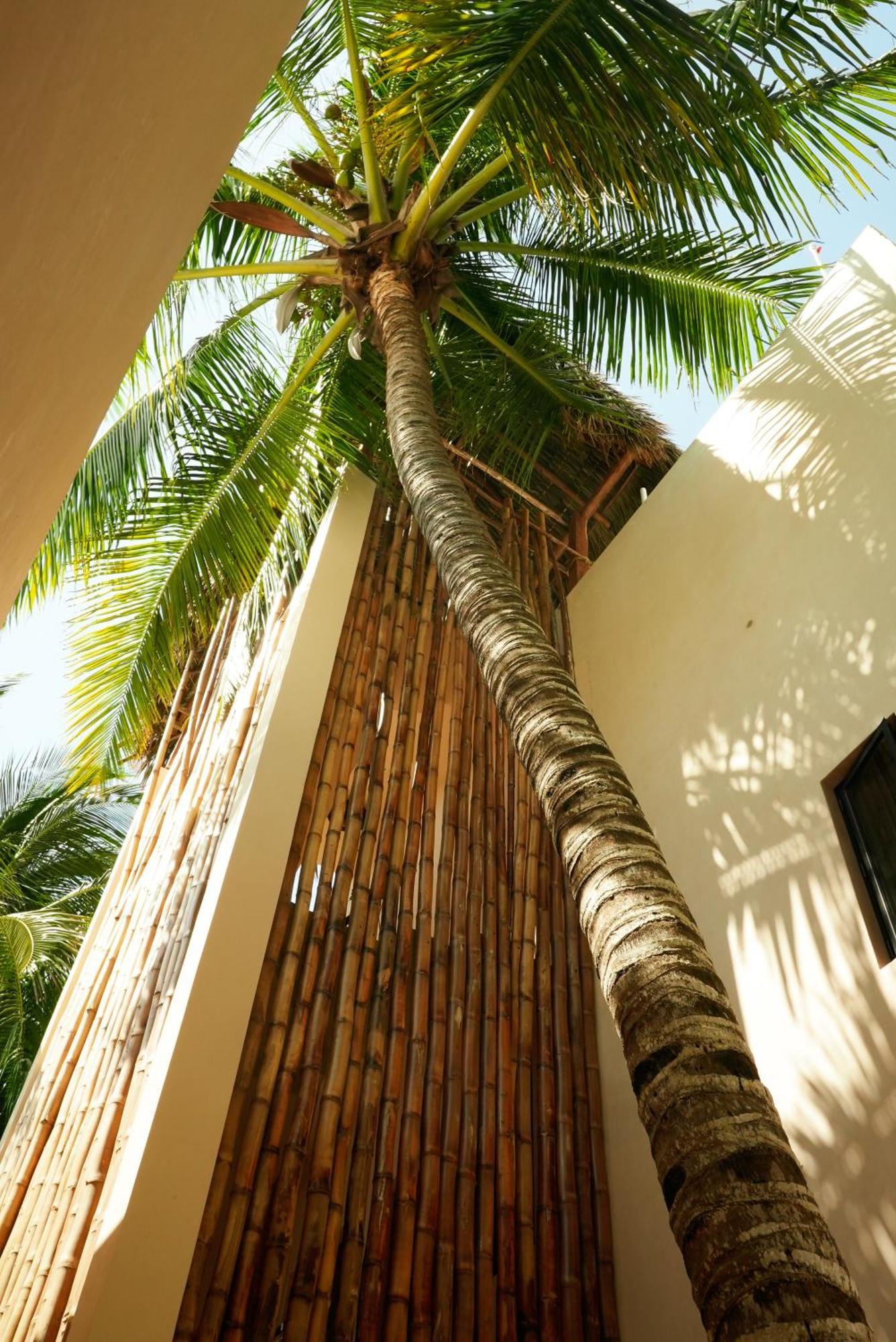 Nikau Hotel El Cuyo - Adults Only Exterior foto